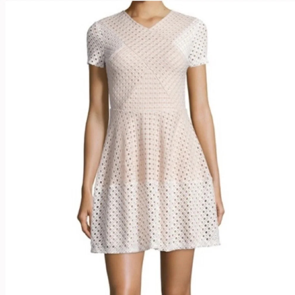 BCBGMAXAZRIA 'Elyze' Lace-Blocked Dress - Picture 2 of 12